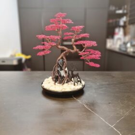 עץ בונסאי גזע חום עלים ורוד - פאר אהרוני