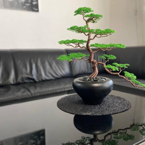 פאר אהרוני עץ בונסאי בסגנון יפני