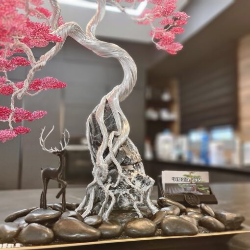פאר אהרוני עץ בונסאי בסגנון יפני